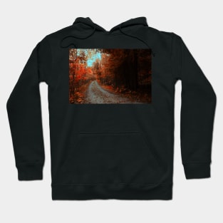 Follow Your Own Path Hoodie